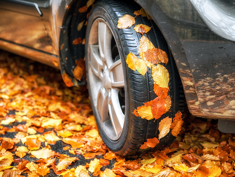fall tire care