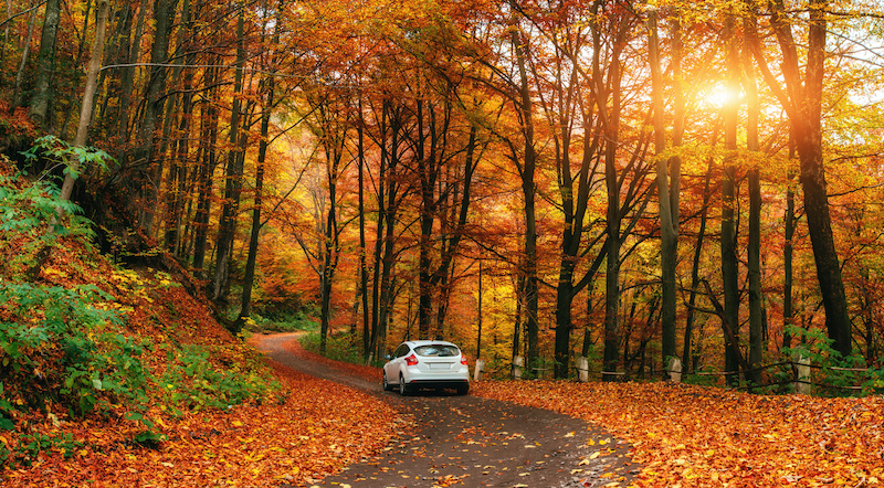 autumn fall car care