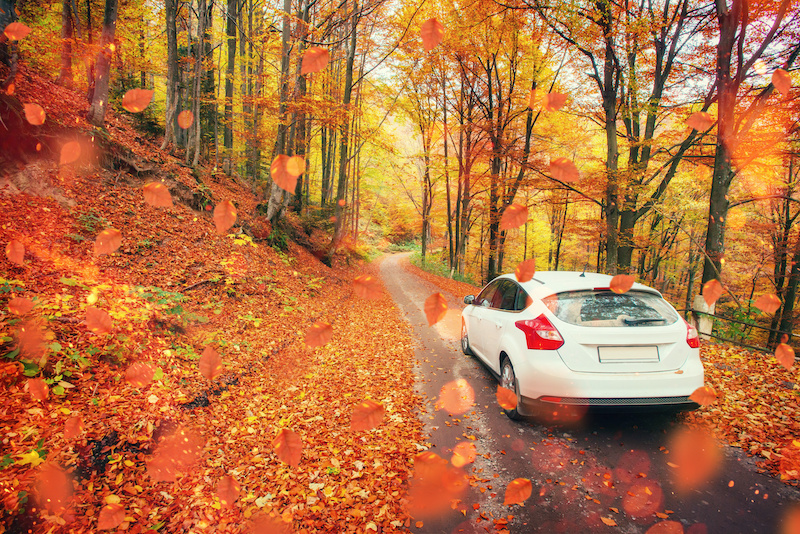 fall leaves and a car