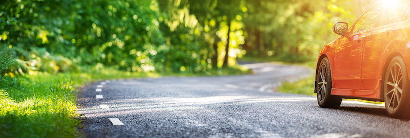 Car on asphalt road on summer day at park