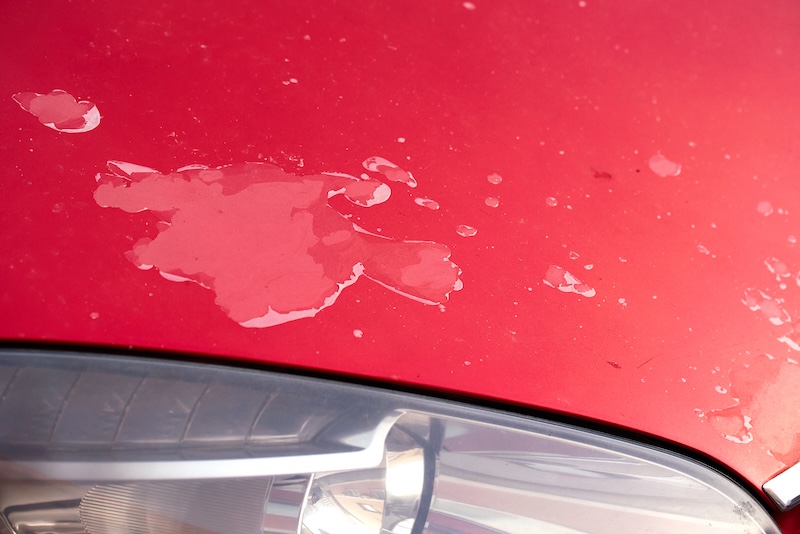 Red car with peeling clear coat and damaged paint close-up. Wear and deterioration on the vehicle’s exterior finish. Damage clear coat, faded red car paint