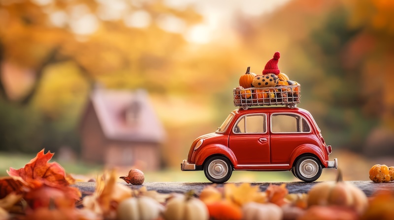 Thanksgiving Holiday Errands Food