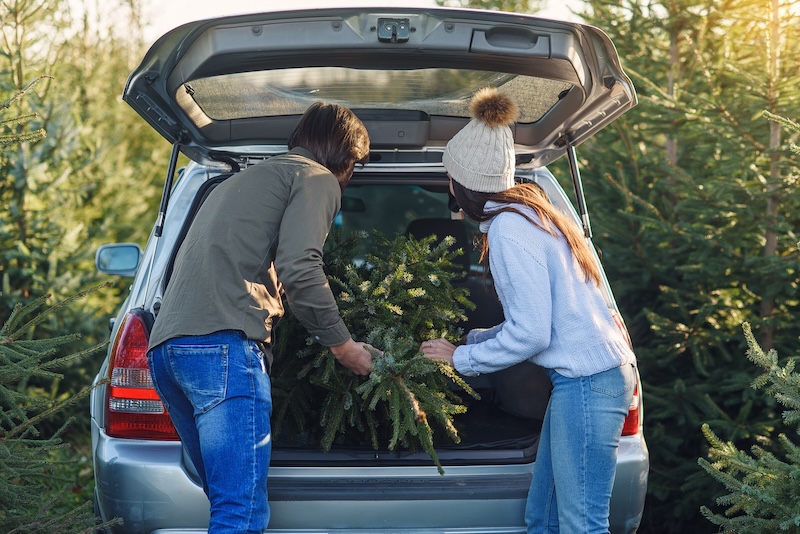 Lovely happy cheerful young couple putting into car trunk beautiful fir tree at Christmas tree plantings, back view. SSUCv3H4sIAAAAAAAACpySyW7DIBCG75X6DhbnIIEXbPdVqh6GLUElEGGcqory7sXYRJx7Y77Z/pnh8f7WNIjDYgT6aB6blWxj7brEANF4lzA5HTwoJ1WoyT10jNRASRN9MGBryCGKi4OrStCt1m74mZ1oiRDXRS1b9wMJiOqcauzwVWKX+LnbTXFkZ8pILoROFVtWnllBe/F/Ze6PrzINnJUTv1lwNUhQVsE+yKERdSMF0GTCeuwI7hUMGCSMWFDg08ingXWidEa0b2c6pRA9Mo17QjSepWZYq7ZtCUycsj5L2nWg75+owrXeG6zS+Gpldy/AbgFdJfMWjDDuXKX5eMk3LWnCry6GbT7U0vmlz3p/A263E+pUVhV+gWVJGbLwqpdIn8hfq1bOx7ygY99IpktvJu3aIc0/DP04DeNAO3IE7L/jYlKdrKgUSrb4NrKe3mwKEOcTpWwSuKcccM+VwlwLgplu55nLbmZyTFt8/gEAAP//AwAwwc5U+AIAAA==
