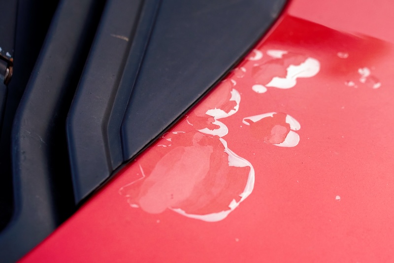 Southern California Heat Damage