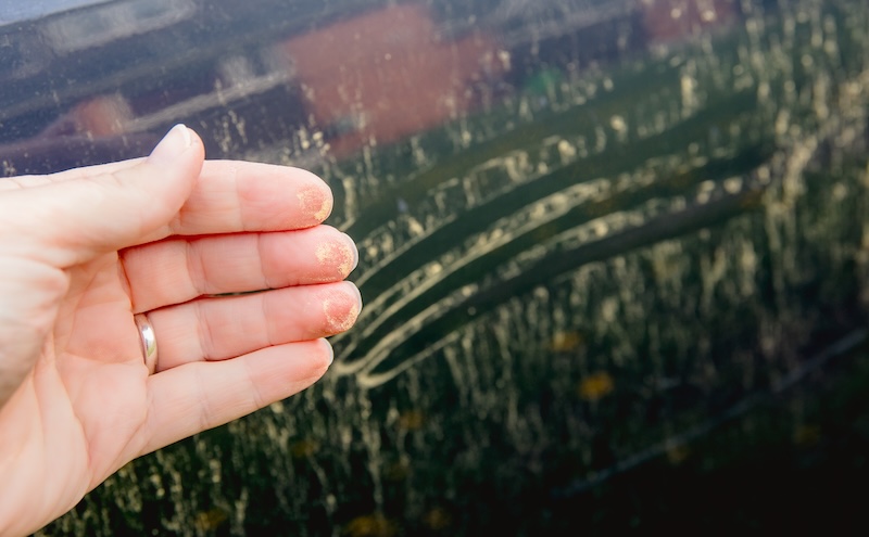 Auto Body Paint Job Proper Collision Repair