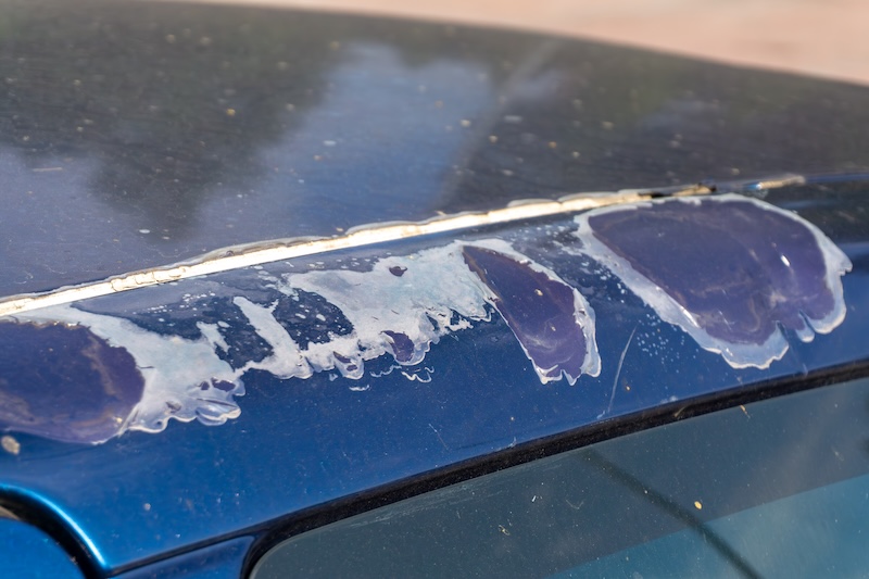 Paint Damage Clear Coat