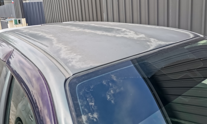 Restore Sun Damage